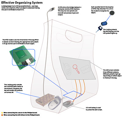 Project Ladybag Effective Organization System Diagram